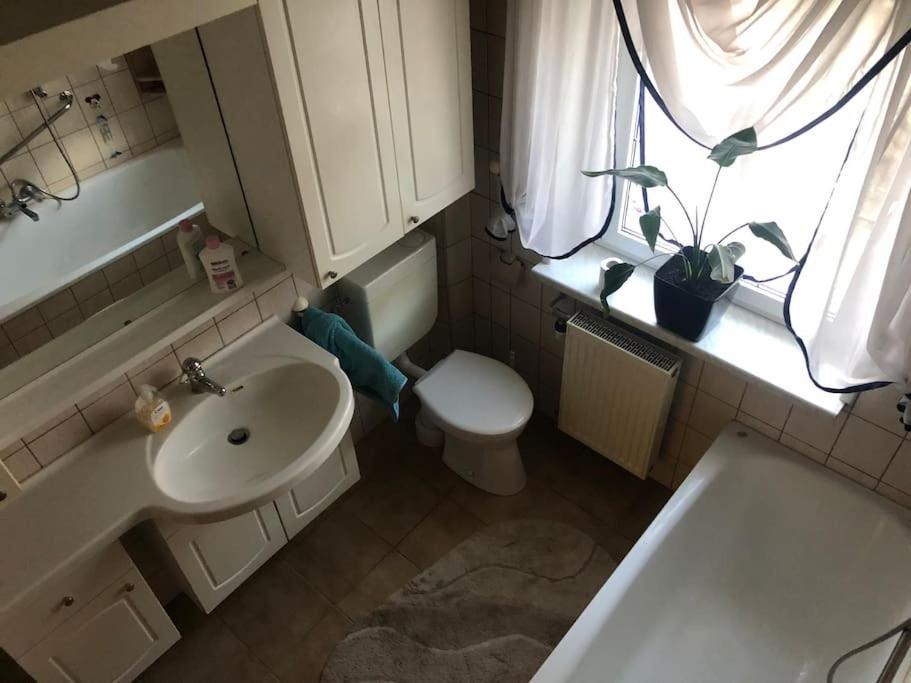 Ferienwohnung In Golssen/Spreewald, Tropical Island Екстер'єр фото